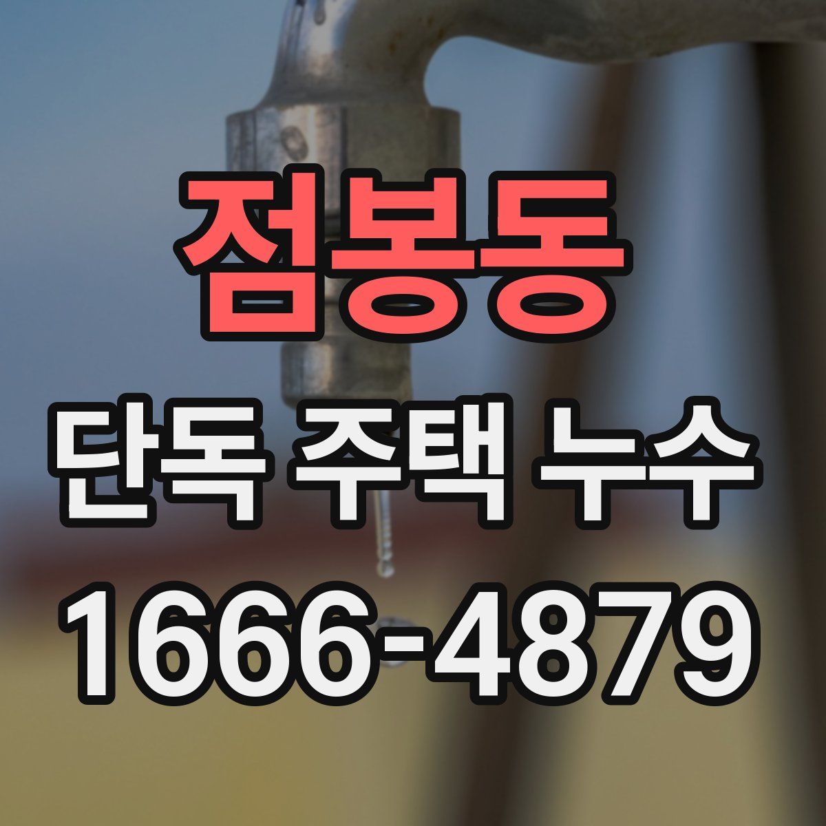 점봉동 단독 주택 누수