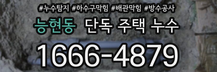 능현동 단독 주택 누수