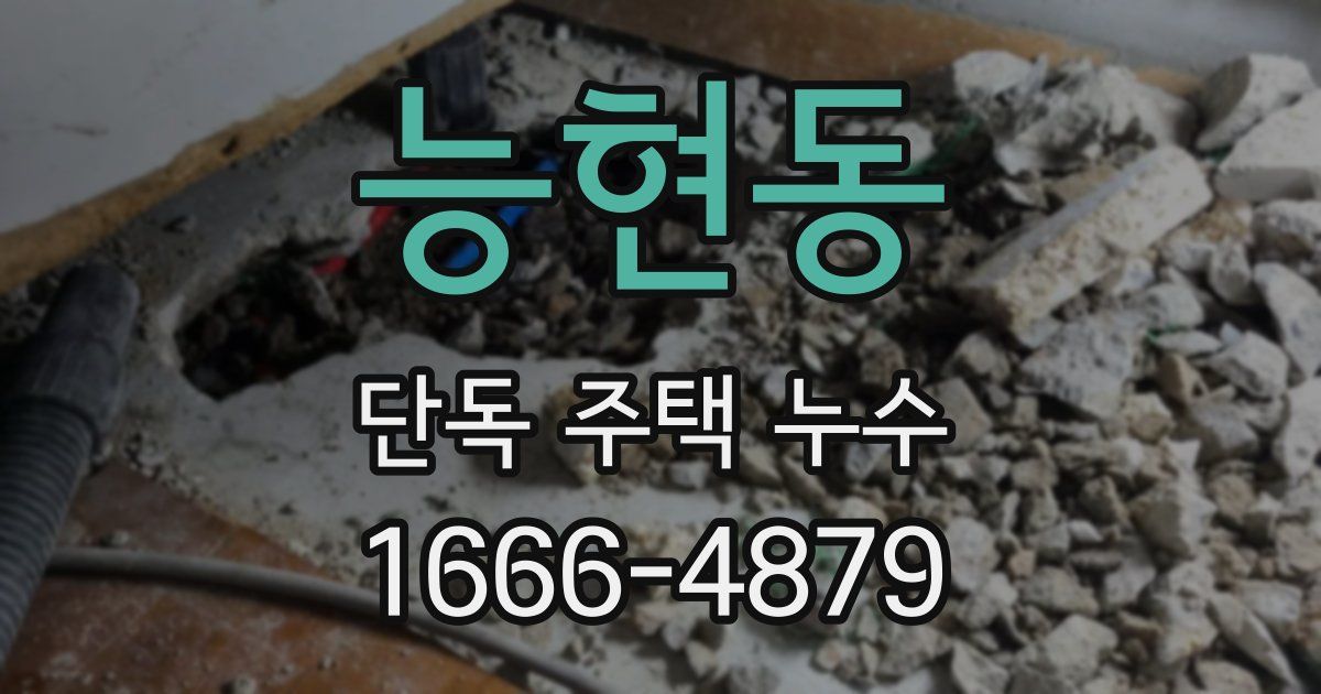 능현동 단독 주택 누수
