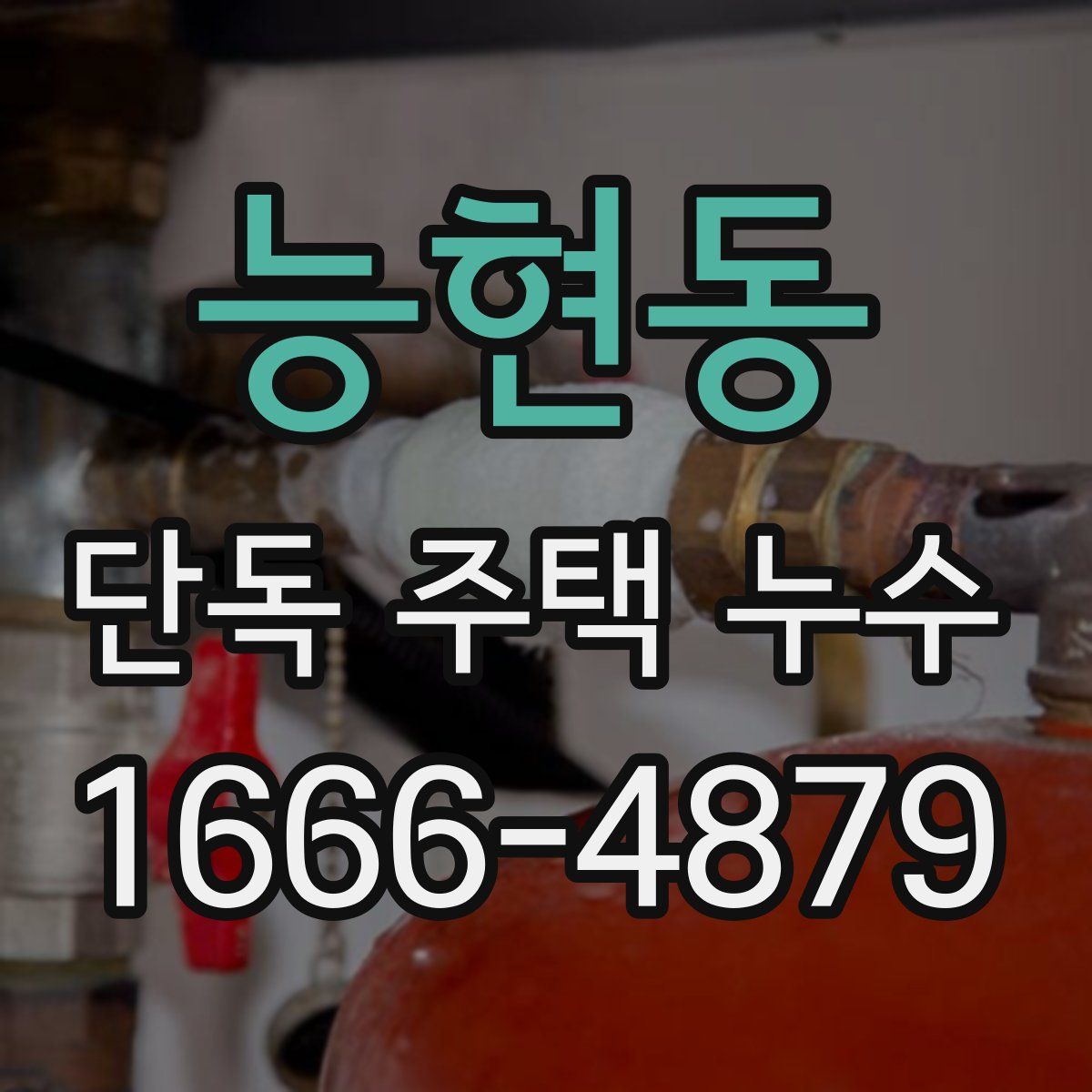 능현동 단독 주택 누수