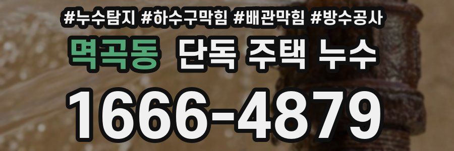 멱곡동 단독 주택 누수
