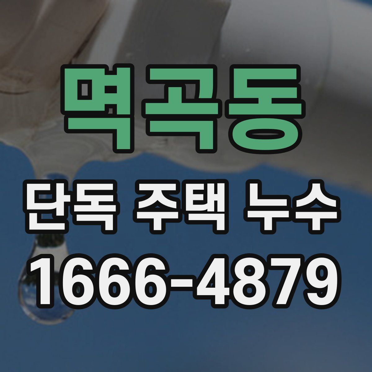 멱곡동 단독 주택 누수
