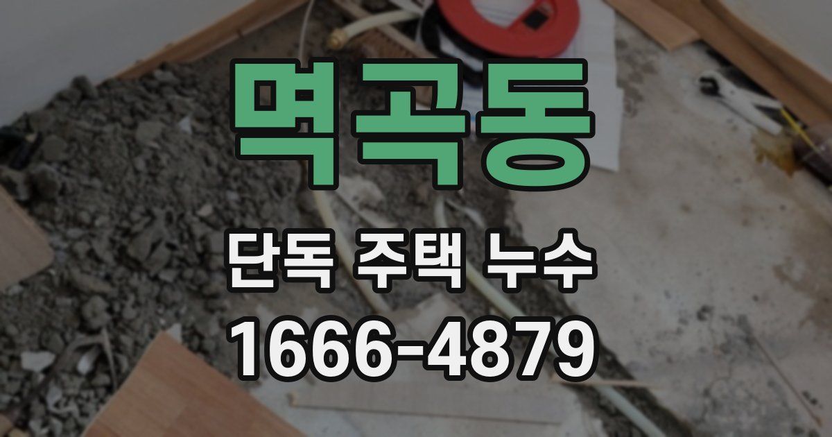 멱곡동 단독 주택 누수