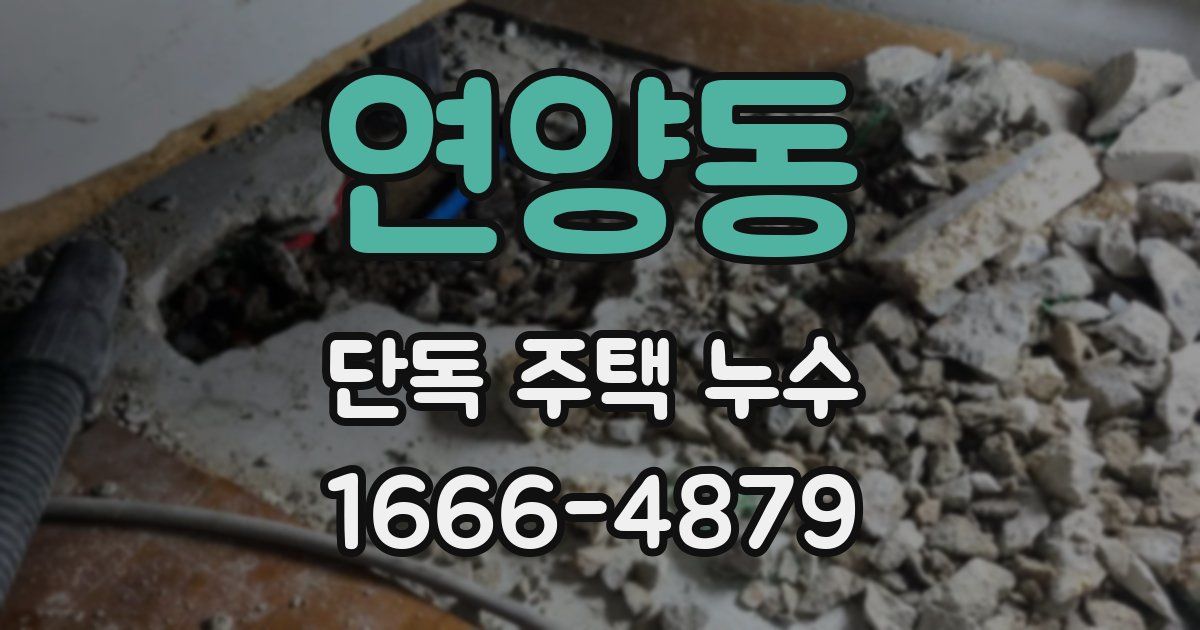 연양동 단독 주택 누수