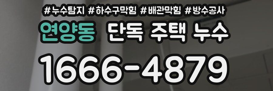 연양동 단독 주택 누수