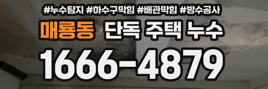 매룡동 단독 주택 누수