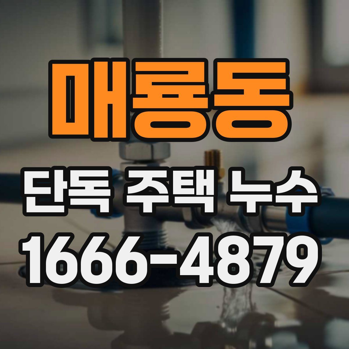 매룡동 단독 주택 누수