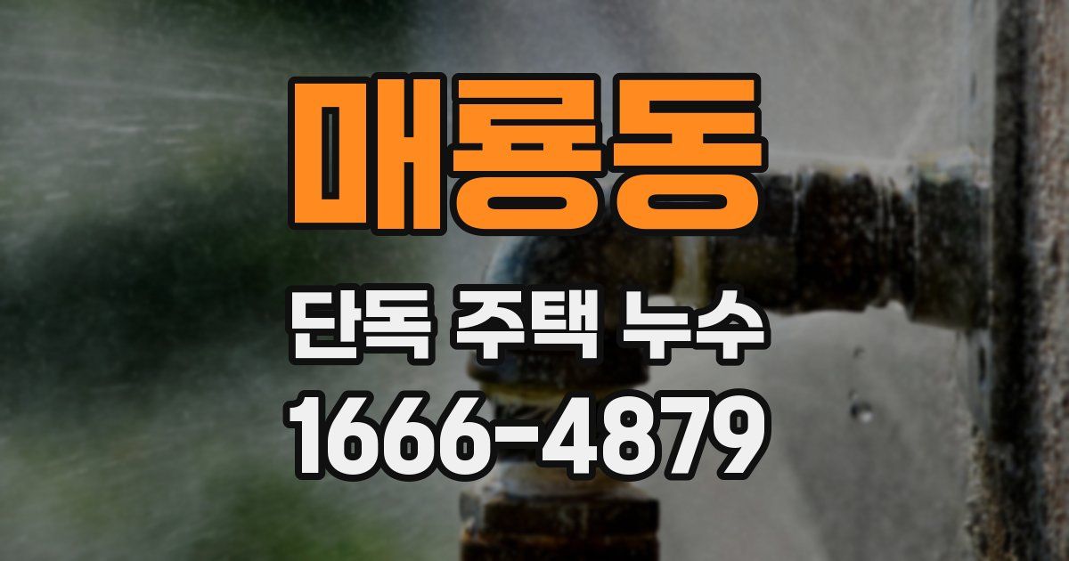 매룡동 단독 주택 누수