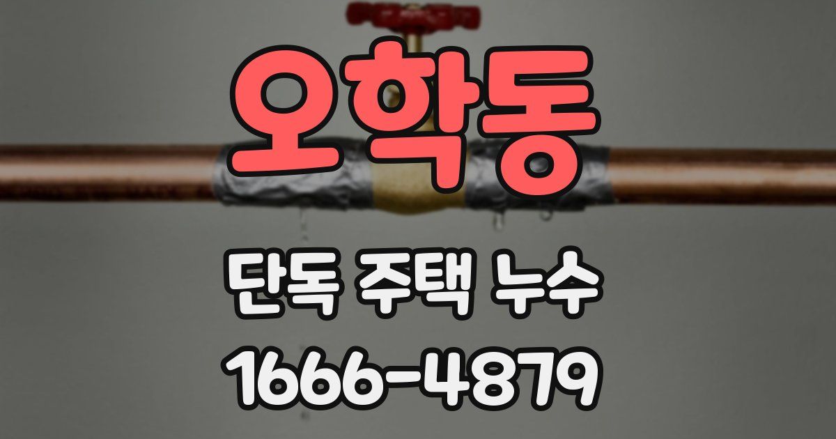 오학동 단독 주택 누수