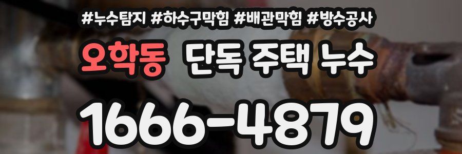 오학동 단독 주택 누수