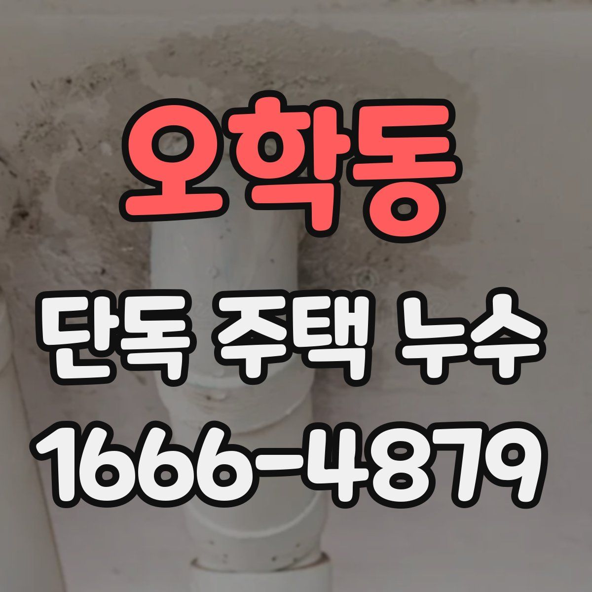 오학동 단독 주택 누수