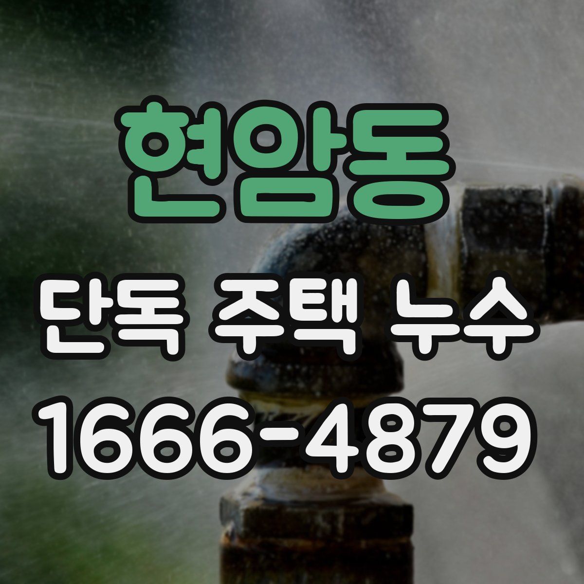 현암동 단독 주택 누수