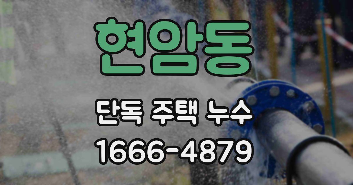 현암동 단독 주택 누수