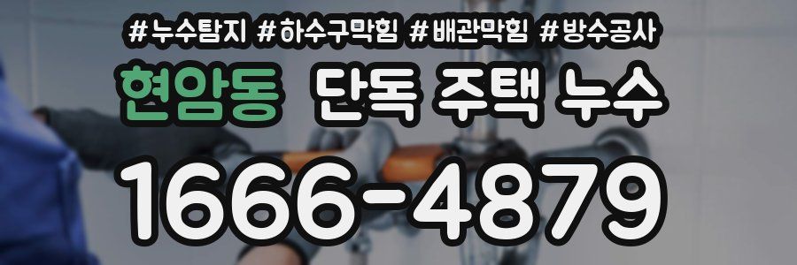 현암동 단독 주택 누수
