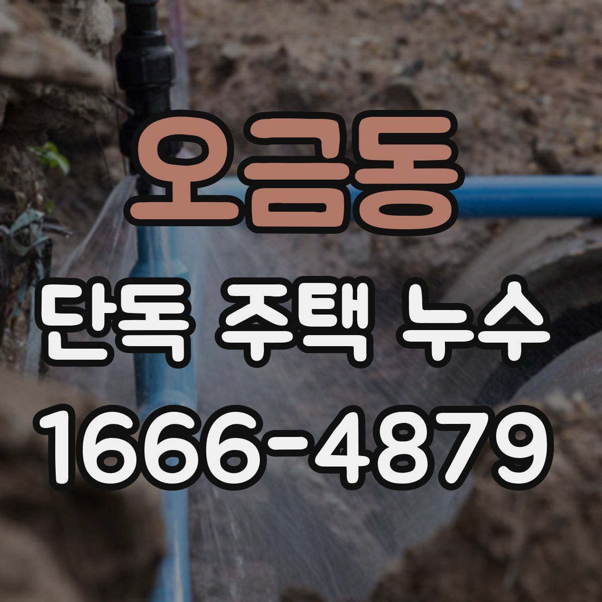 오금동 단독 주택 누수