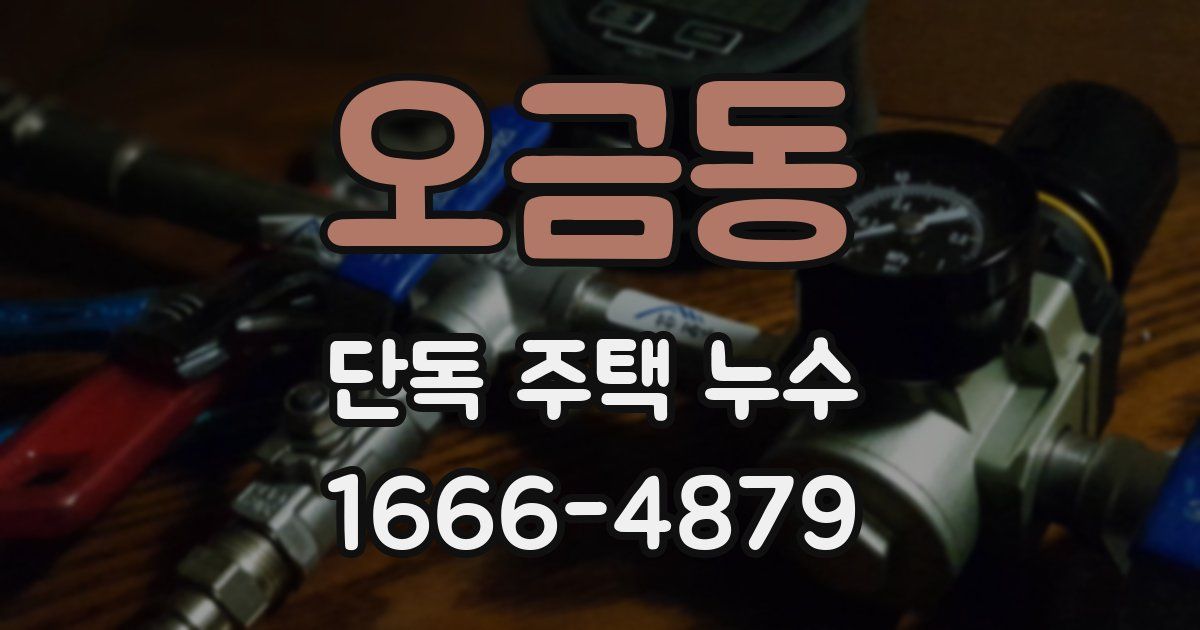 오금동 단독 주택 누수