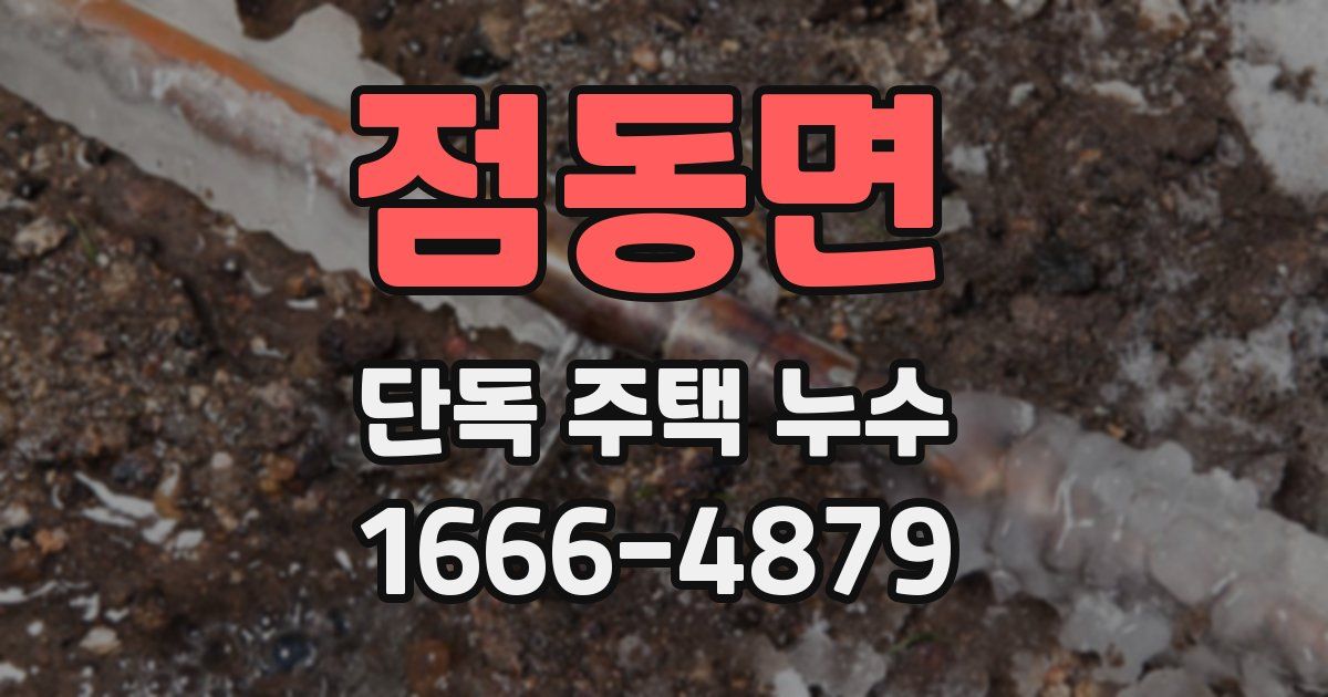 점동면 단독 주택 누수