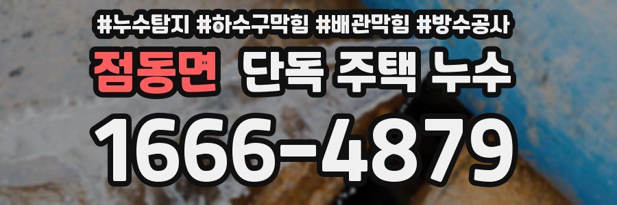 점동면 단독 주택 누수