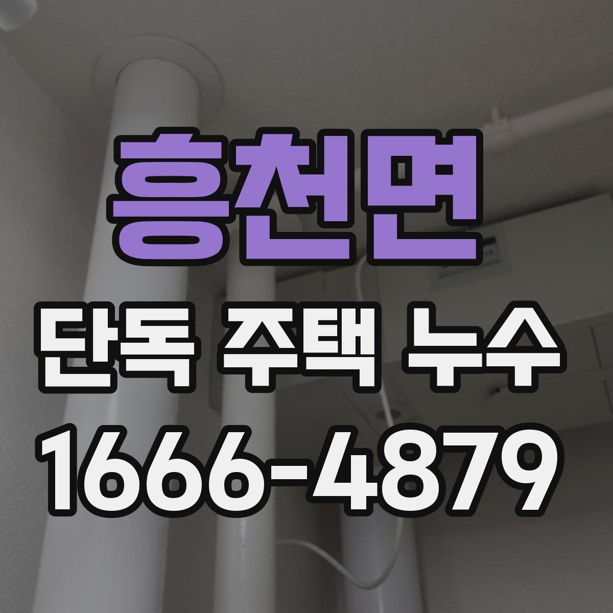 흥천면 단독 주택 누수