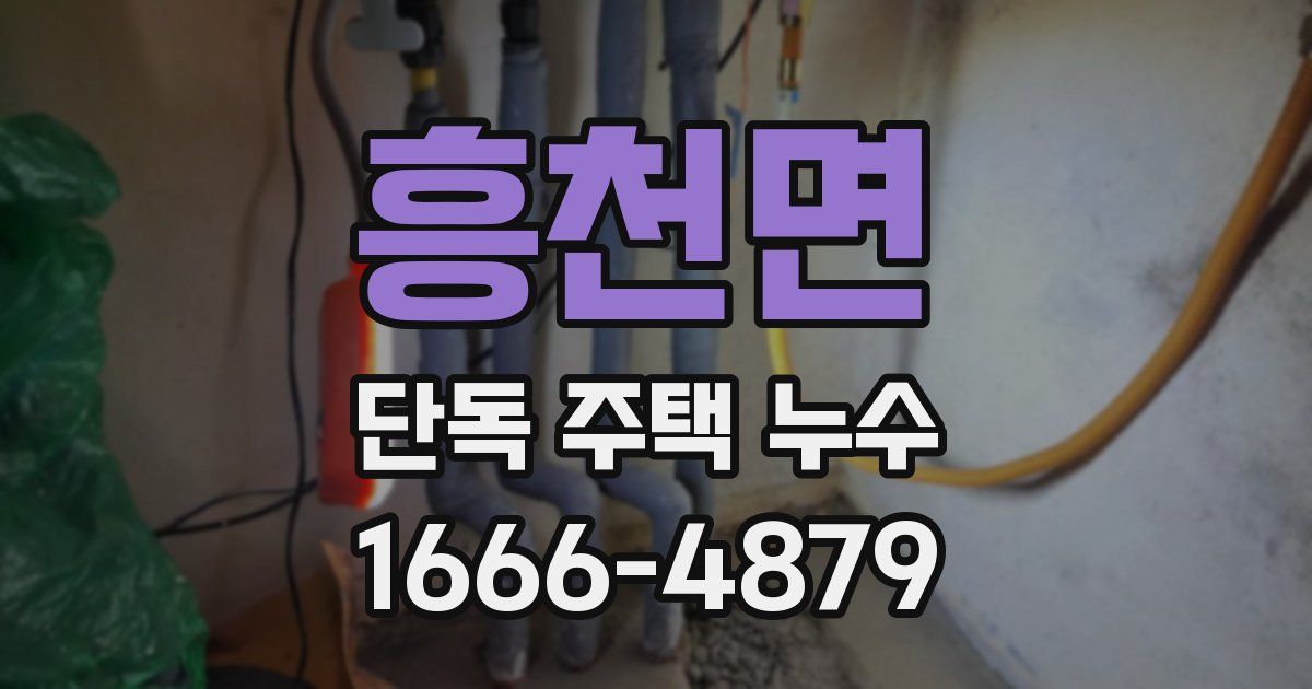 흥천면 단독 주택 누수