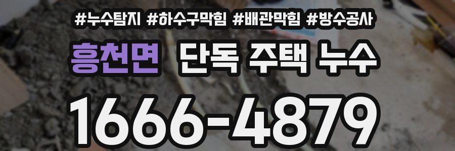 흥천면 단독 주택 누수