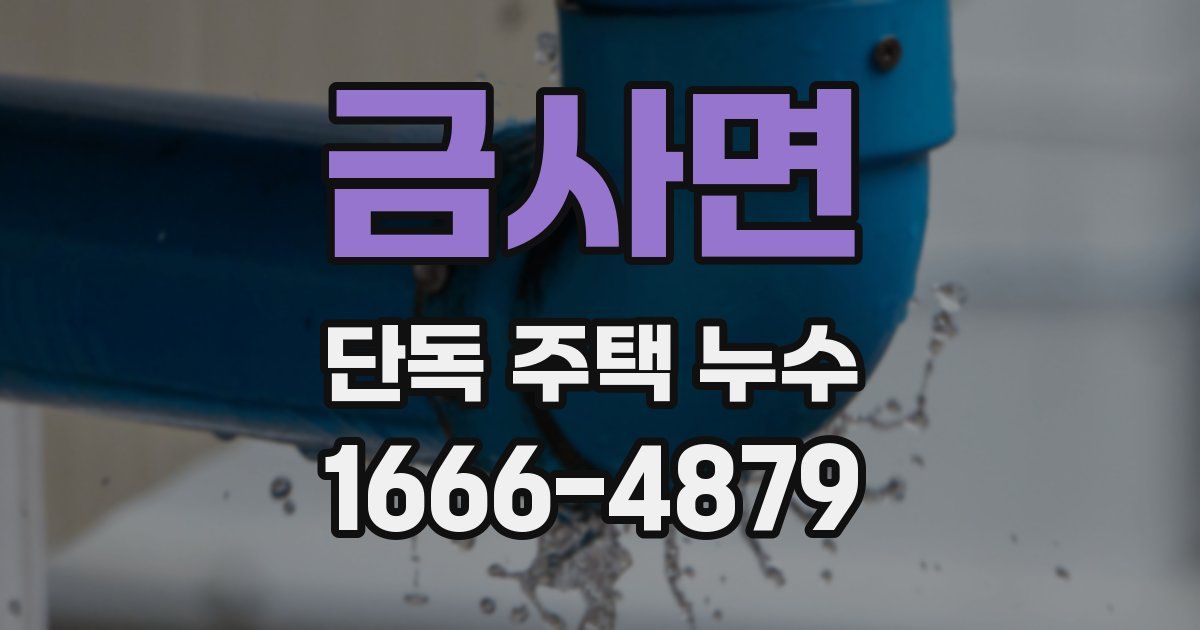 금사면 단독 주택 누수