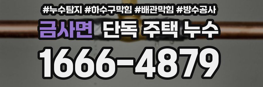 금사면 단독 주택 누수
