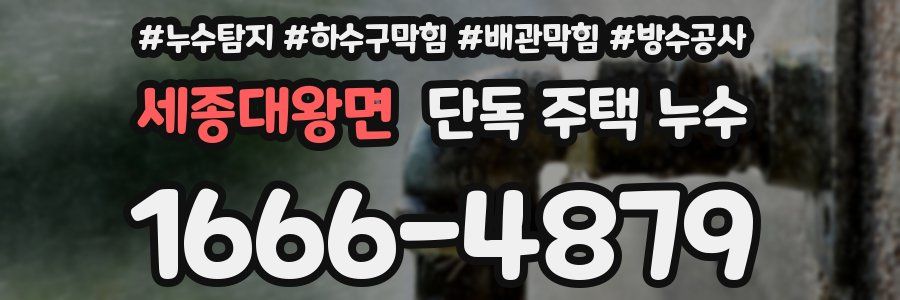세종대왕면 단독 주택 누수