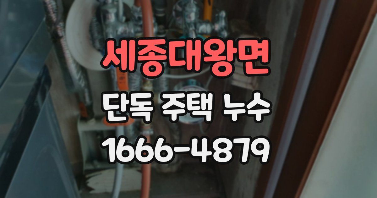 세종대왕면 단독 주택 누수