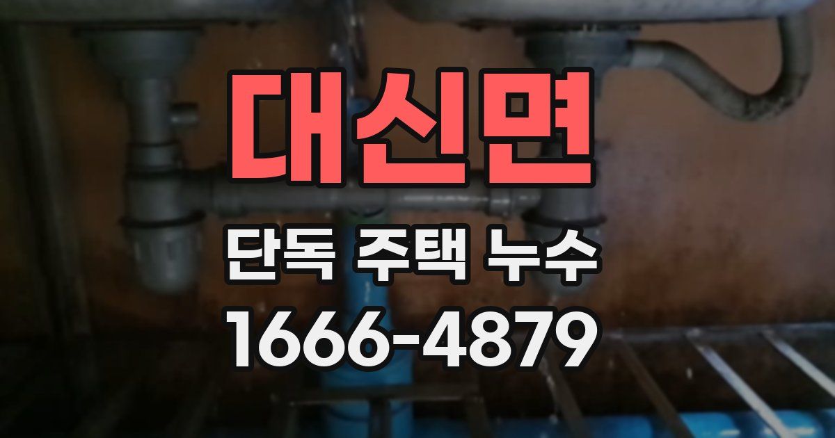 대신면 단독 주택 누수