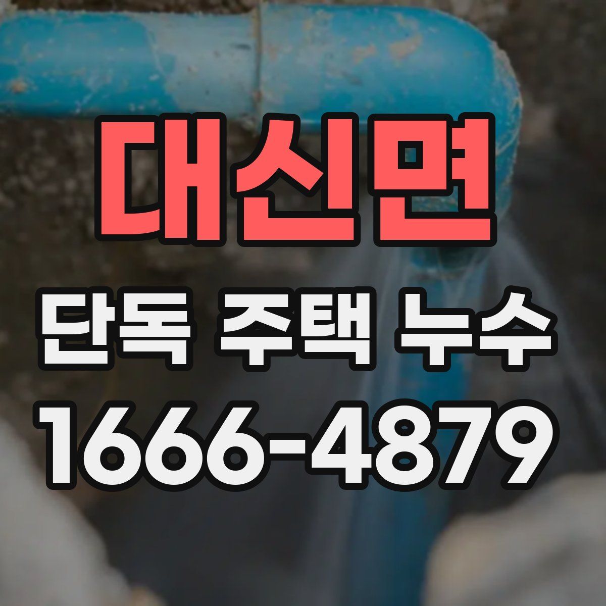 대신면 단독 주택 누수