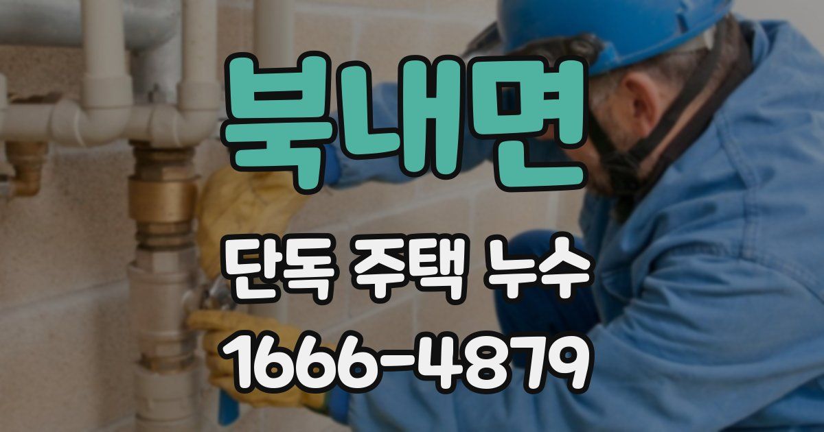 북내면 단독 주택 누수