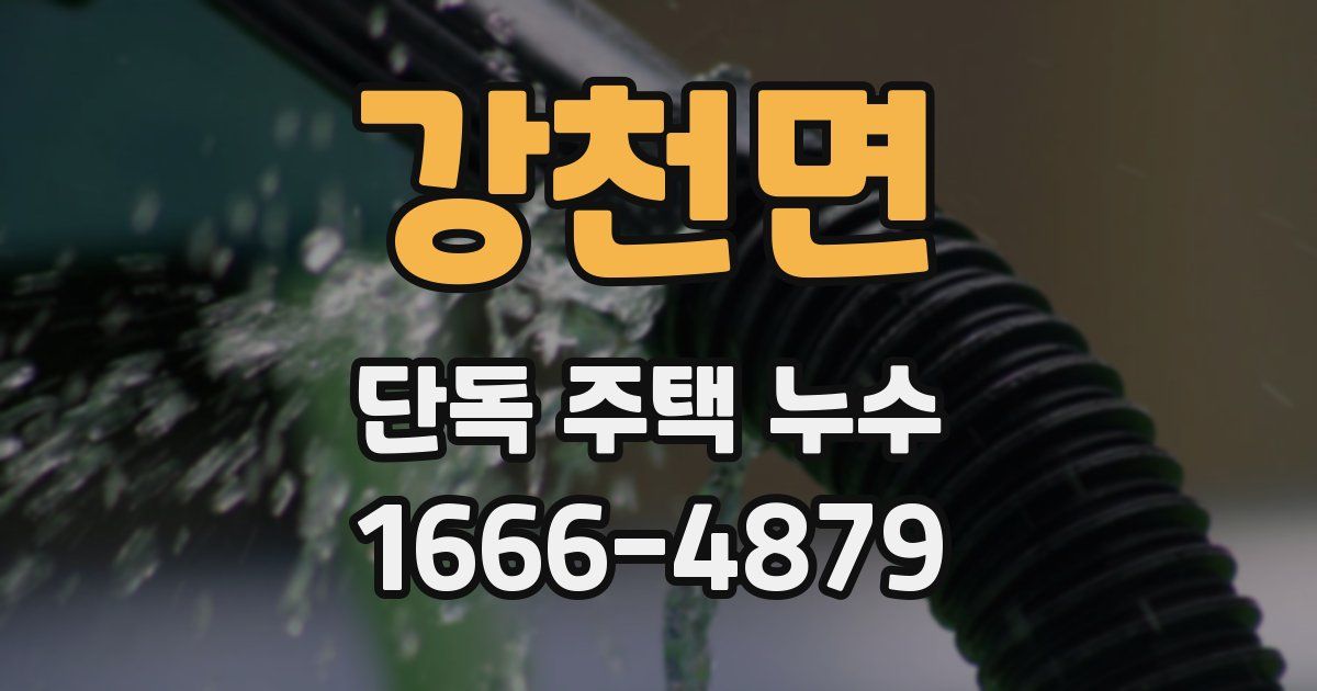 강천면 단독 주택 누수