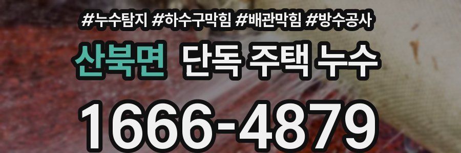 산북면 단독 주택 누수
