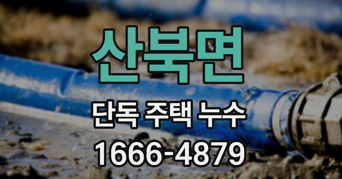 산북면 단독 주택 누수