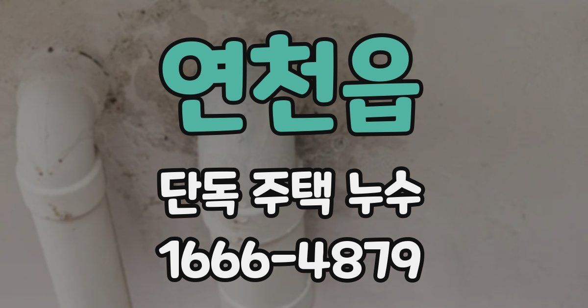 연천읍 단독 주택 누수
