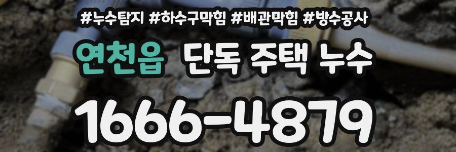 연천읍 단독 주택 누수