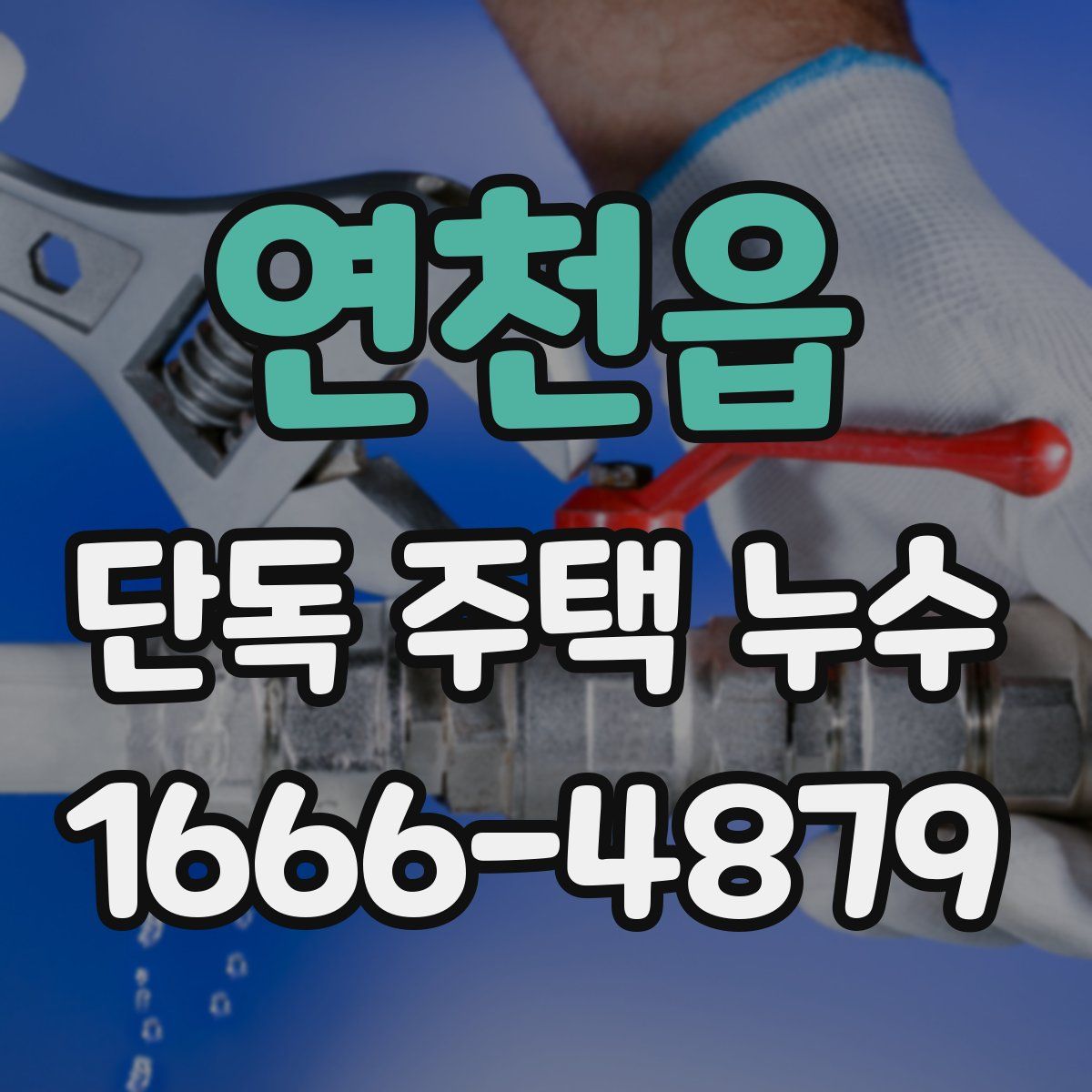연천읍 단독 주택 누수