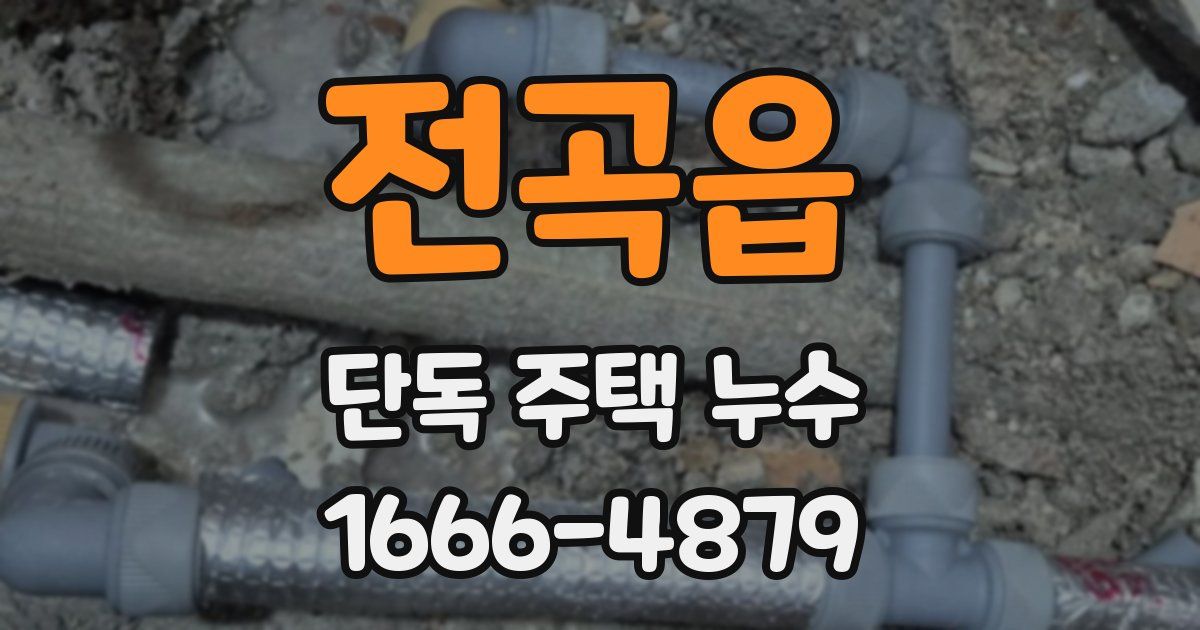 전곡읍 단독 주택 누수