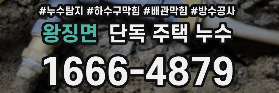 왕징면 단독 주택 누수