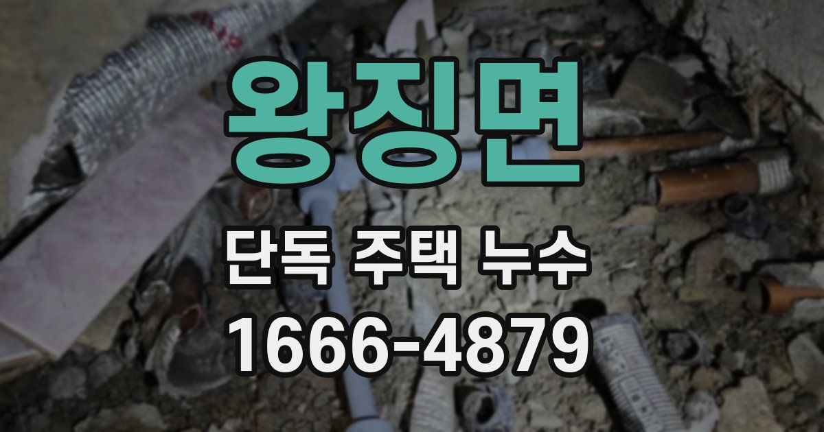 왕징면 단독 주택 누수