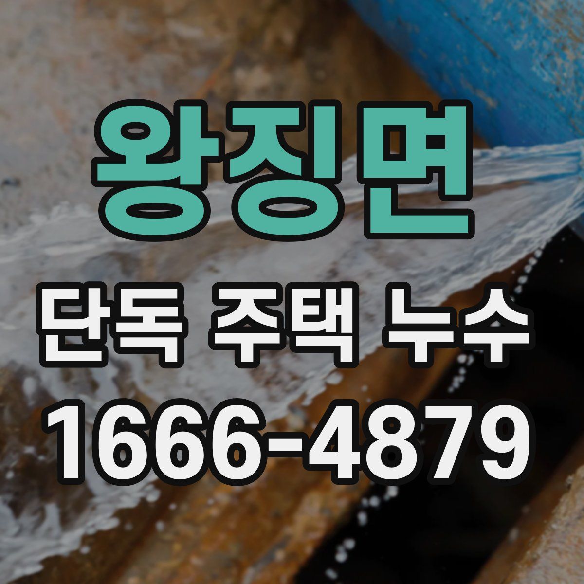 왕징면 단독 주택 누수