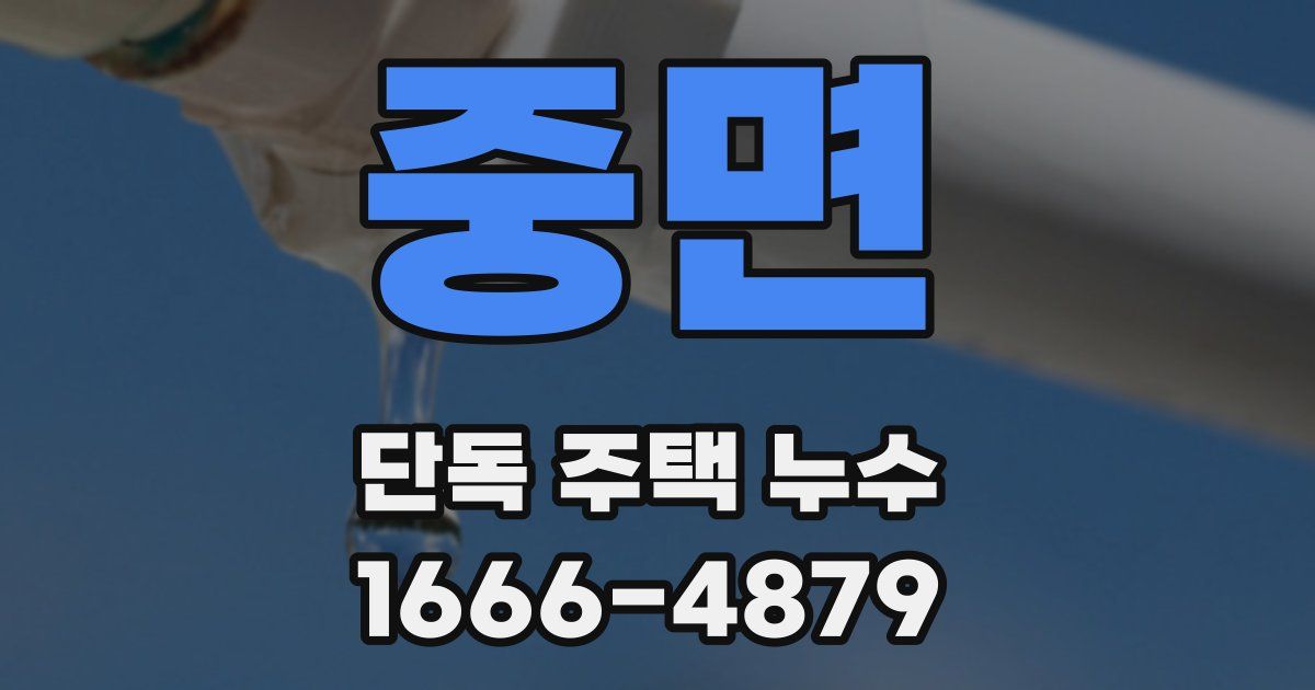 중면 단독 주택 누수