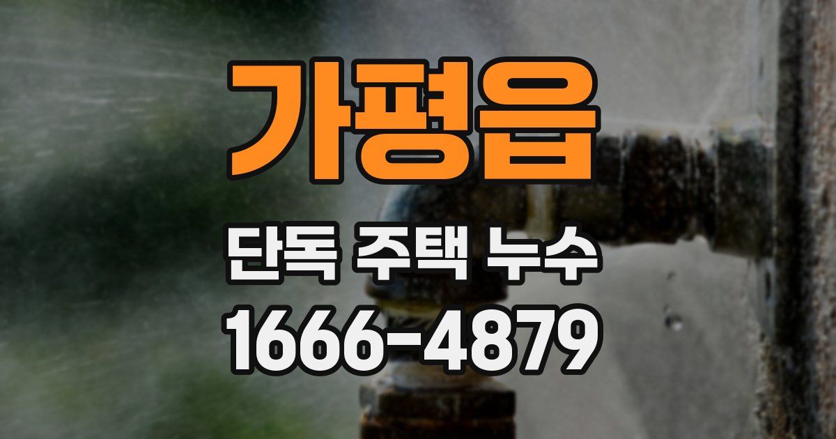 가평읍 단독 주택 누수