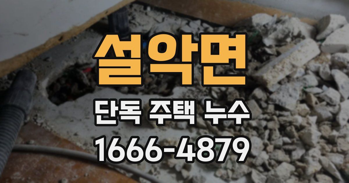 설악면 단독 주택 누수