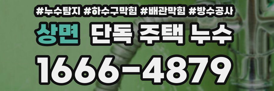 상면 단독 주택 누수