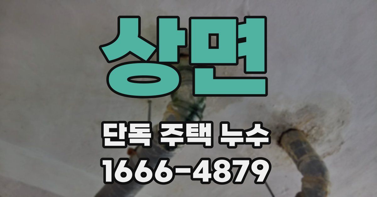 상면 단독 주택 누수