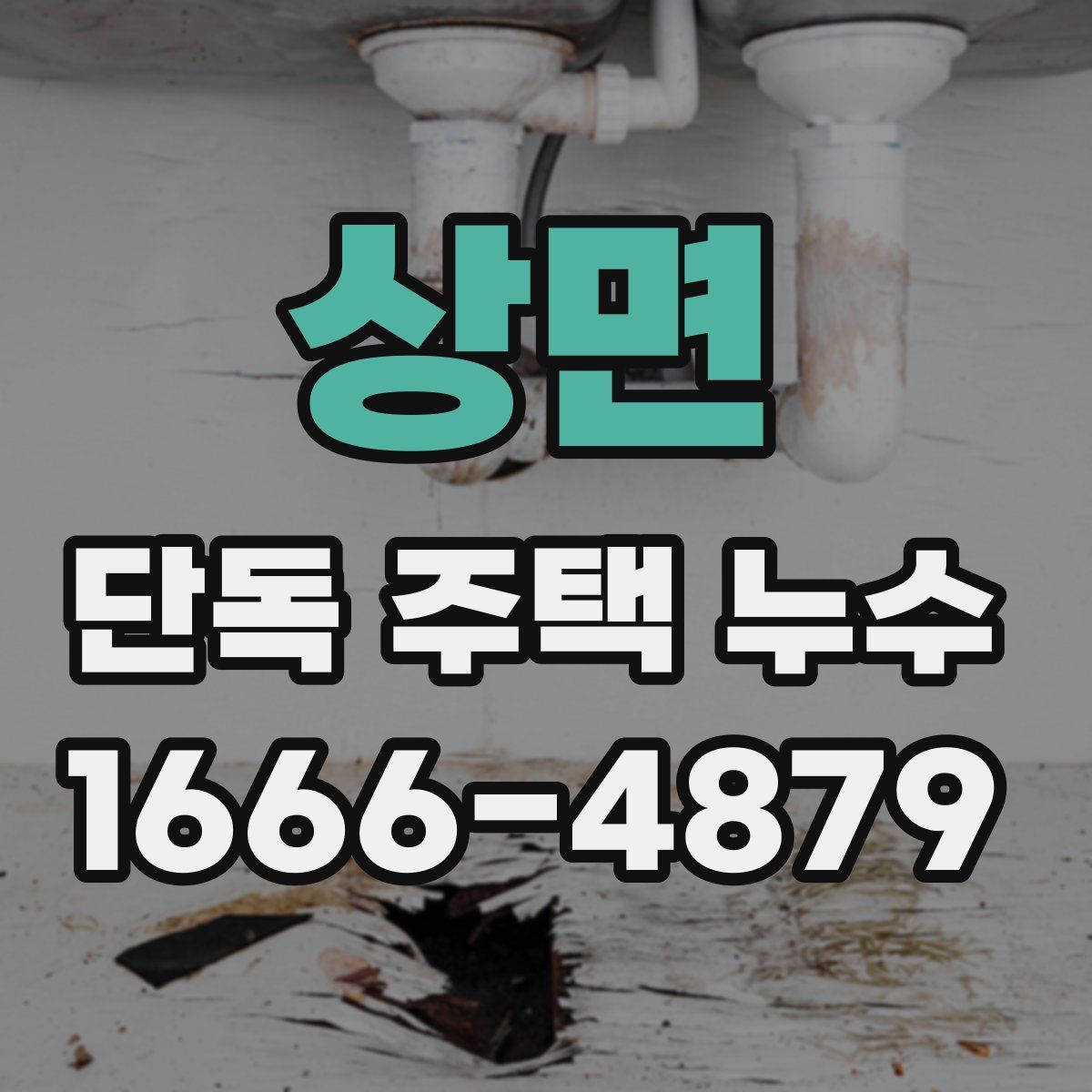 상면 단독 주택 누수