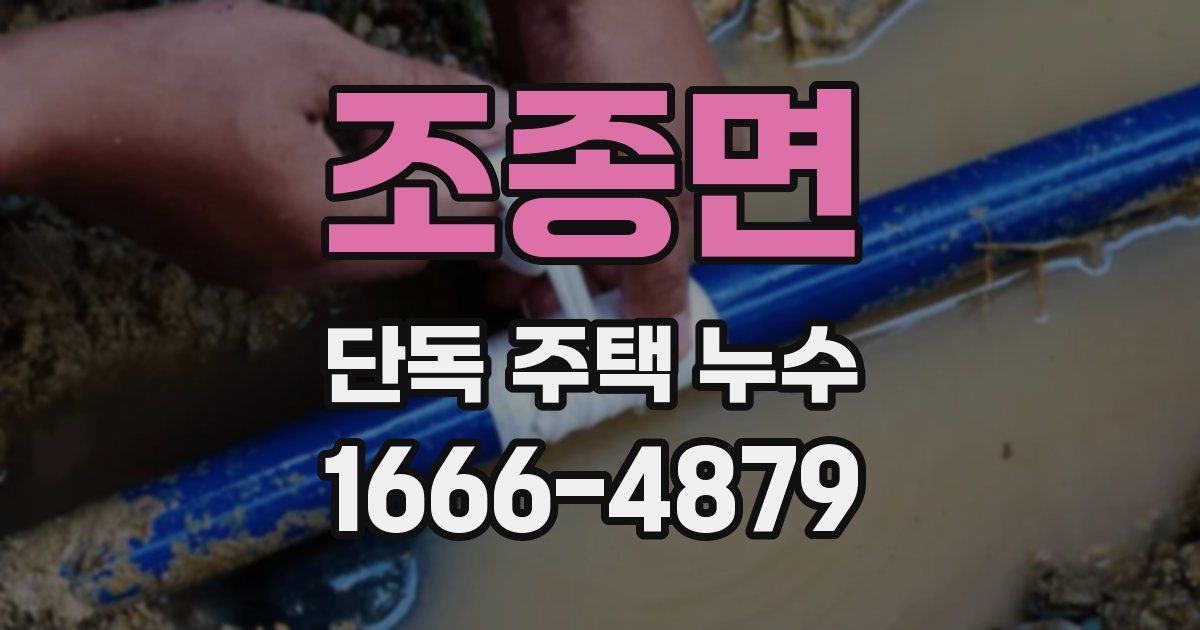 조종면 단독 주택 누수