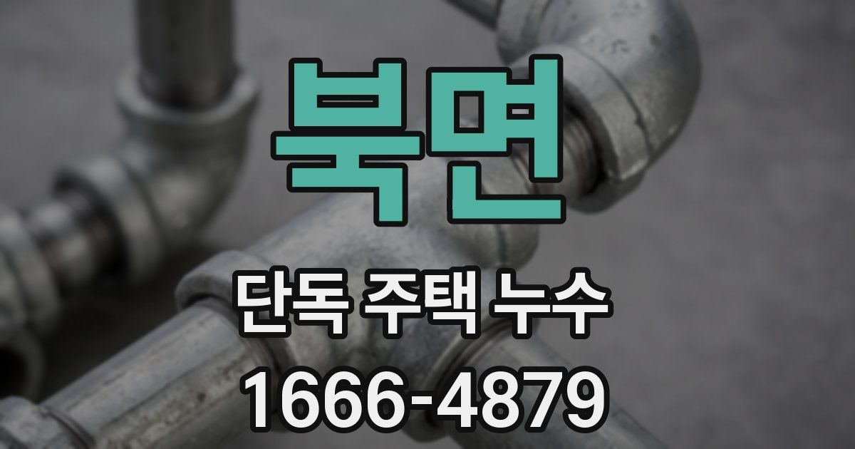 북면 단독 주택 누수
